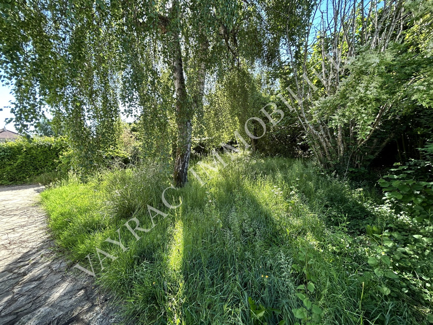 N0 - Jardin à l'arrière de la maison