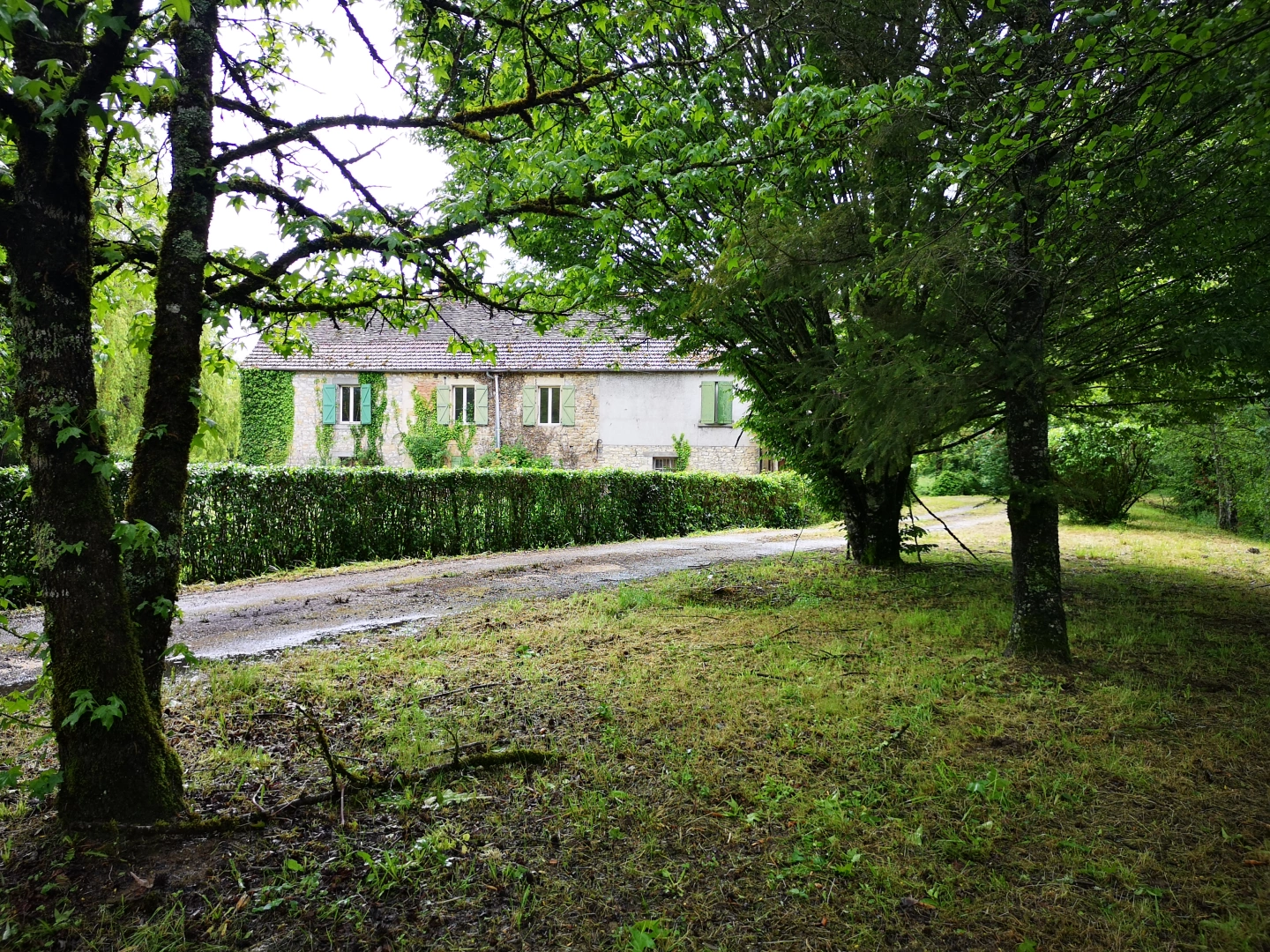 property